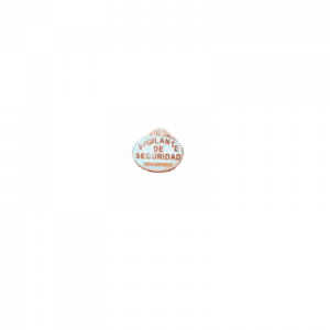 PIN VIGILANTE DE SEGURIDAD