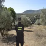 Cazadora softshel tricapa - Imagen 2