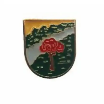 PIN GUARDA RURAL